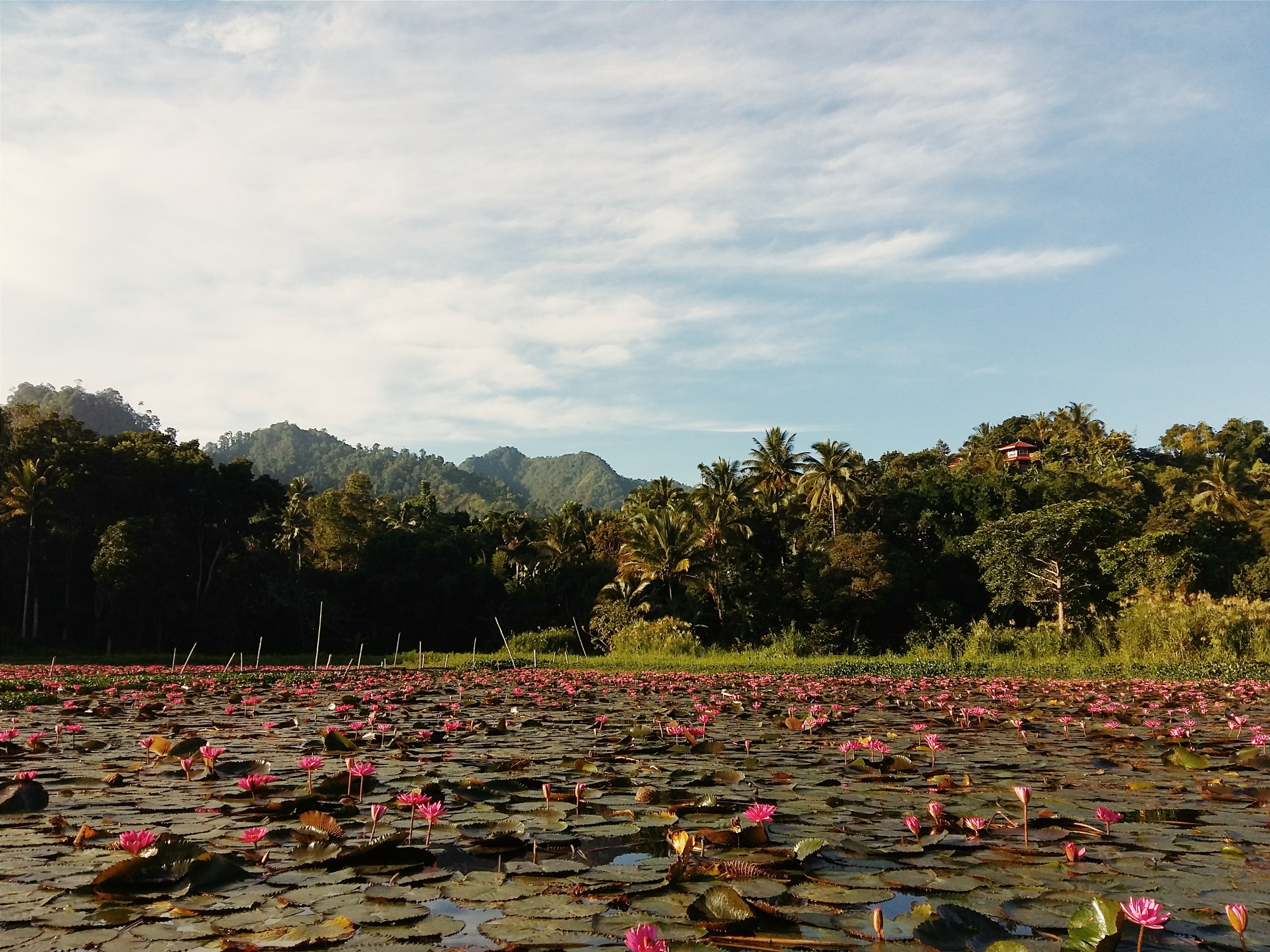 Processed with VSCO with kk2 preset